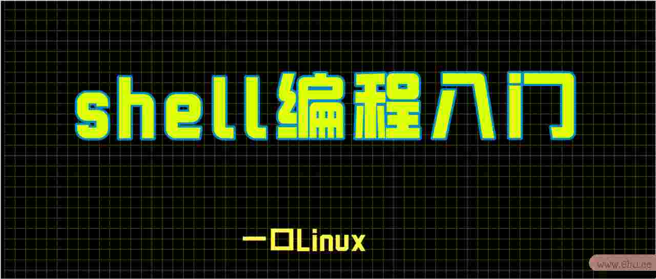 Linux入门-shell编程入门-合适小白