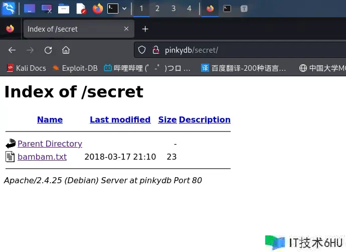 【Vulnhub通关】Pinky's Palace:v2 【Vulnhub通关】Pinky's Palace:v2